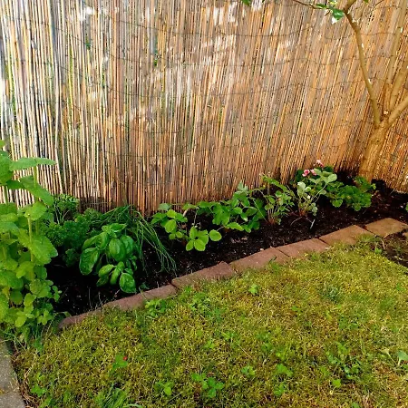 Sunny Sleeps 4 By The With Garden Patio - Przymorze *