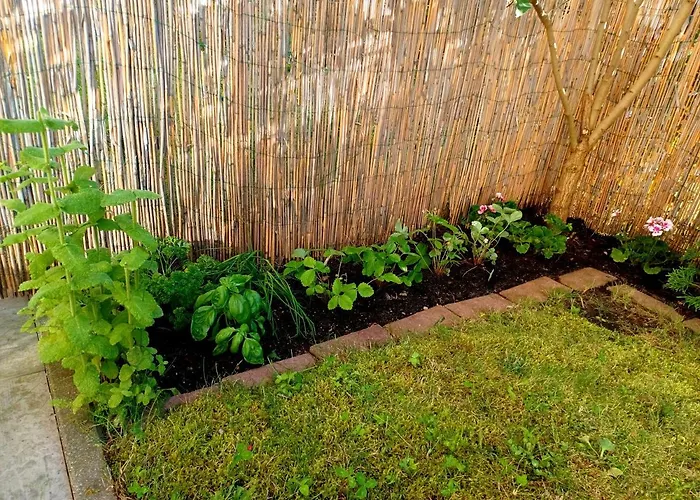 Sunny Sleeps 4 By The With Garden Patio - Przymorze *